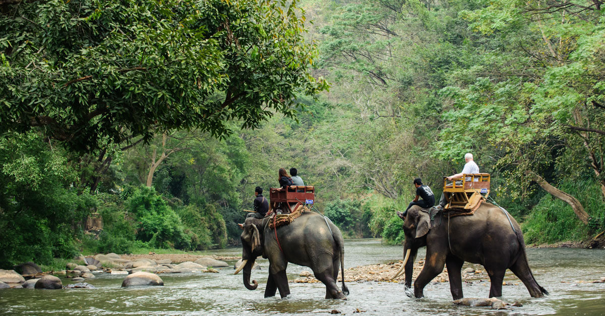 Travel vaccines play a big role in ensuring you are healthy in southeast Asia.